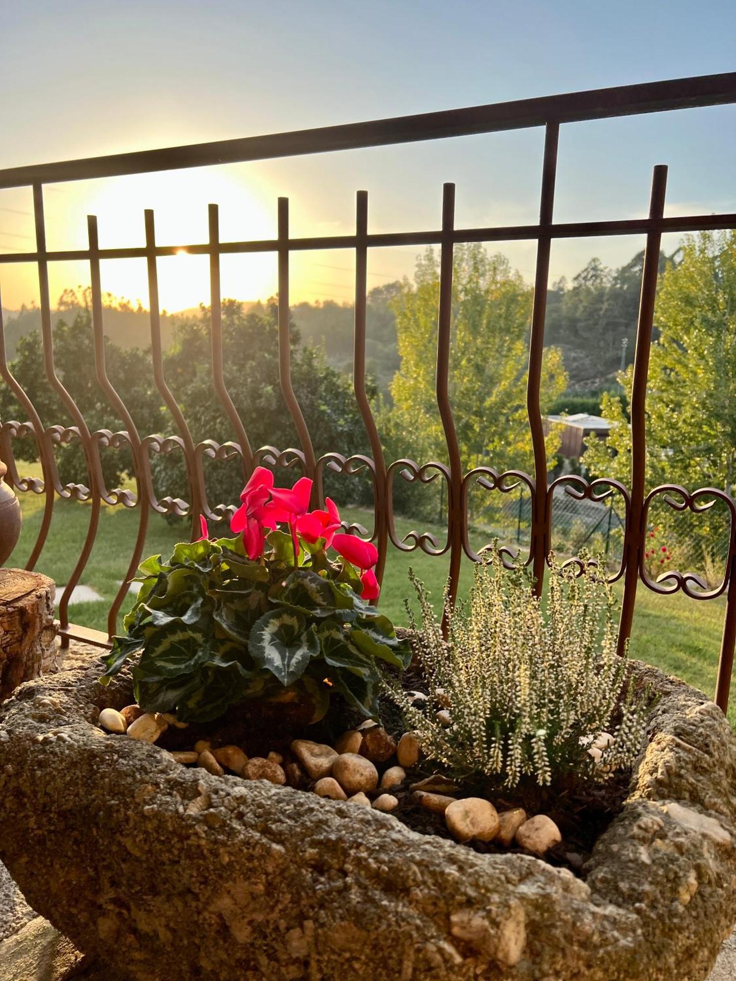 Quinta De Villasete Alpendurada Buitenkant foto