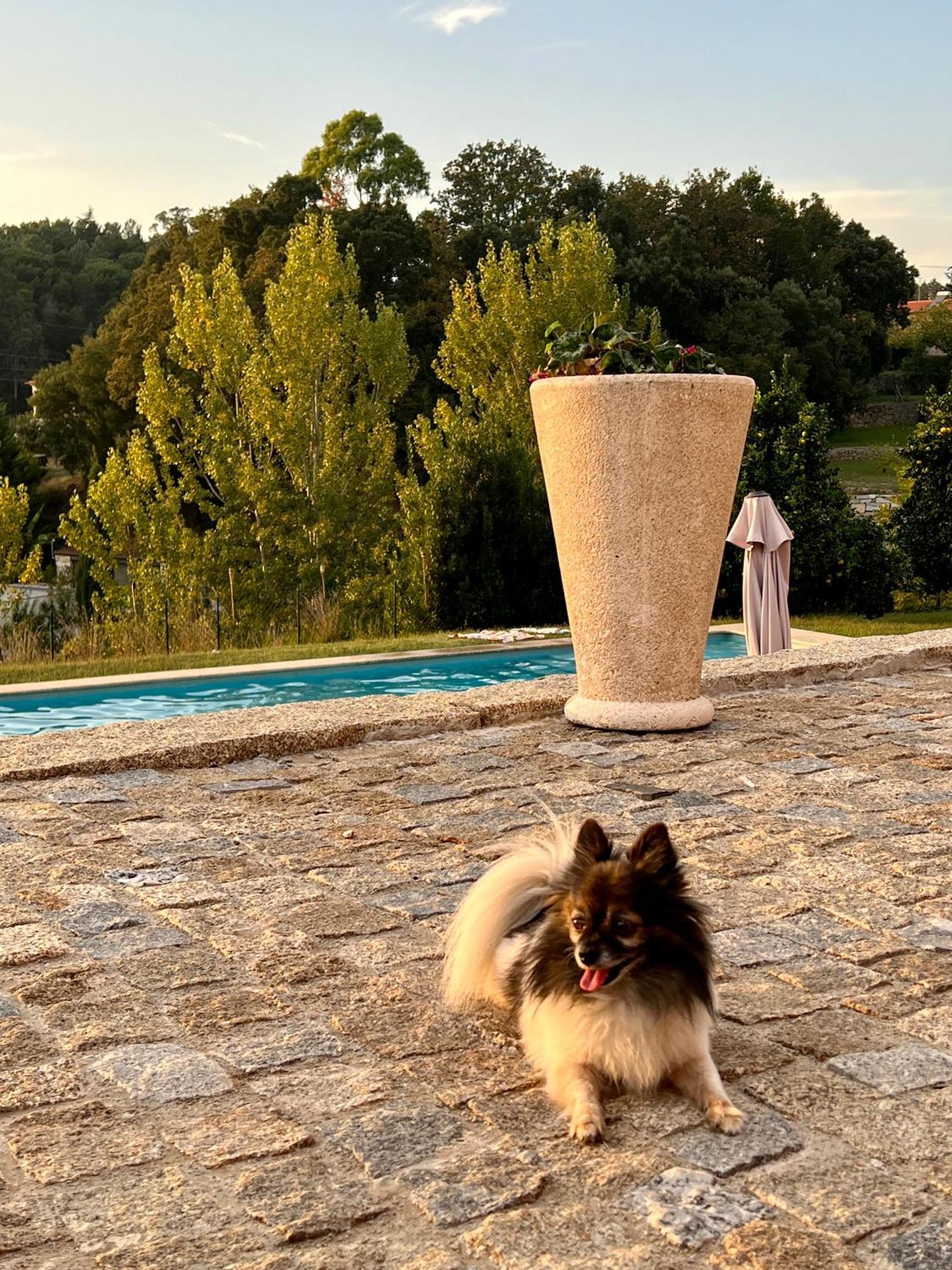 Quinta De Villasete Alpendurada Buitenkant foto