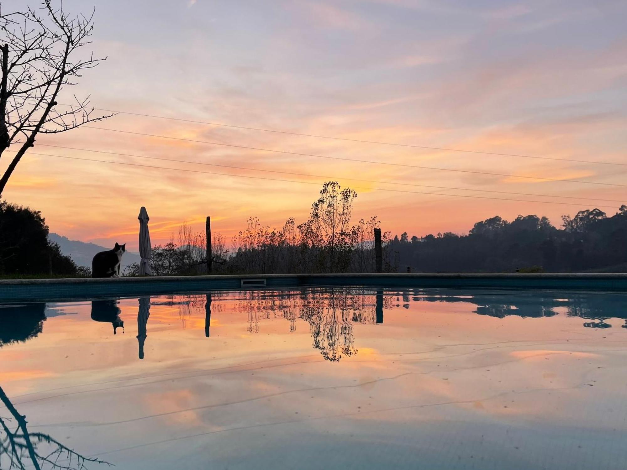 Quinta De Villasete Alpendurada Buitenkant foto