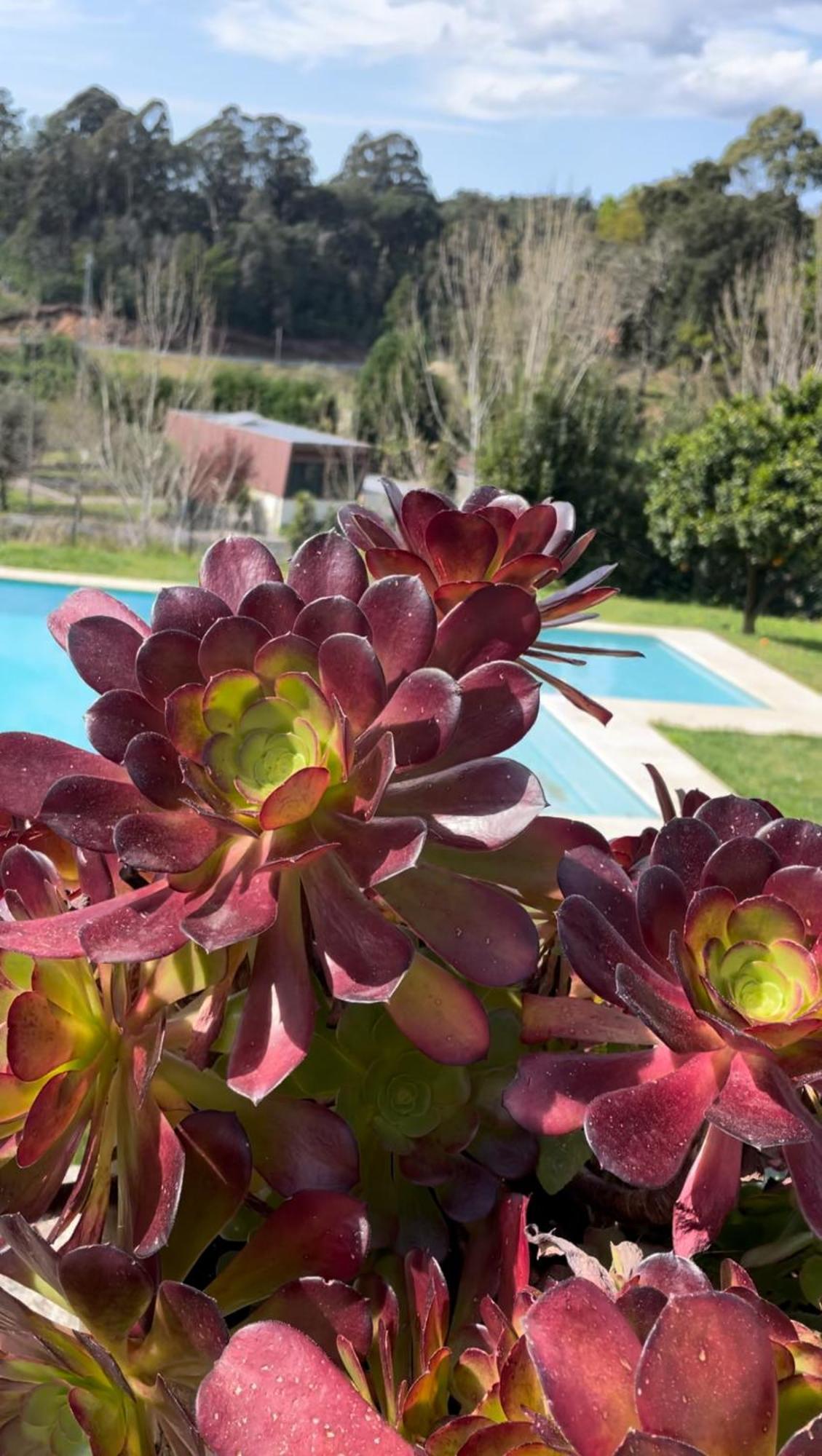Quinta De Villasete Alpendurada Buitenkant foto