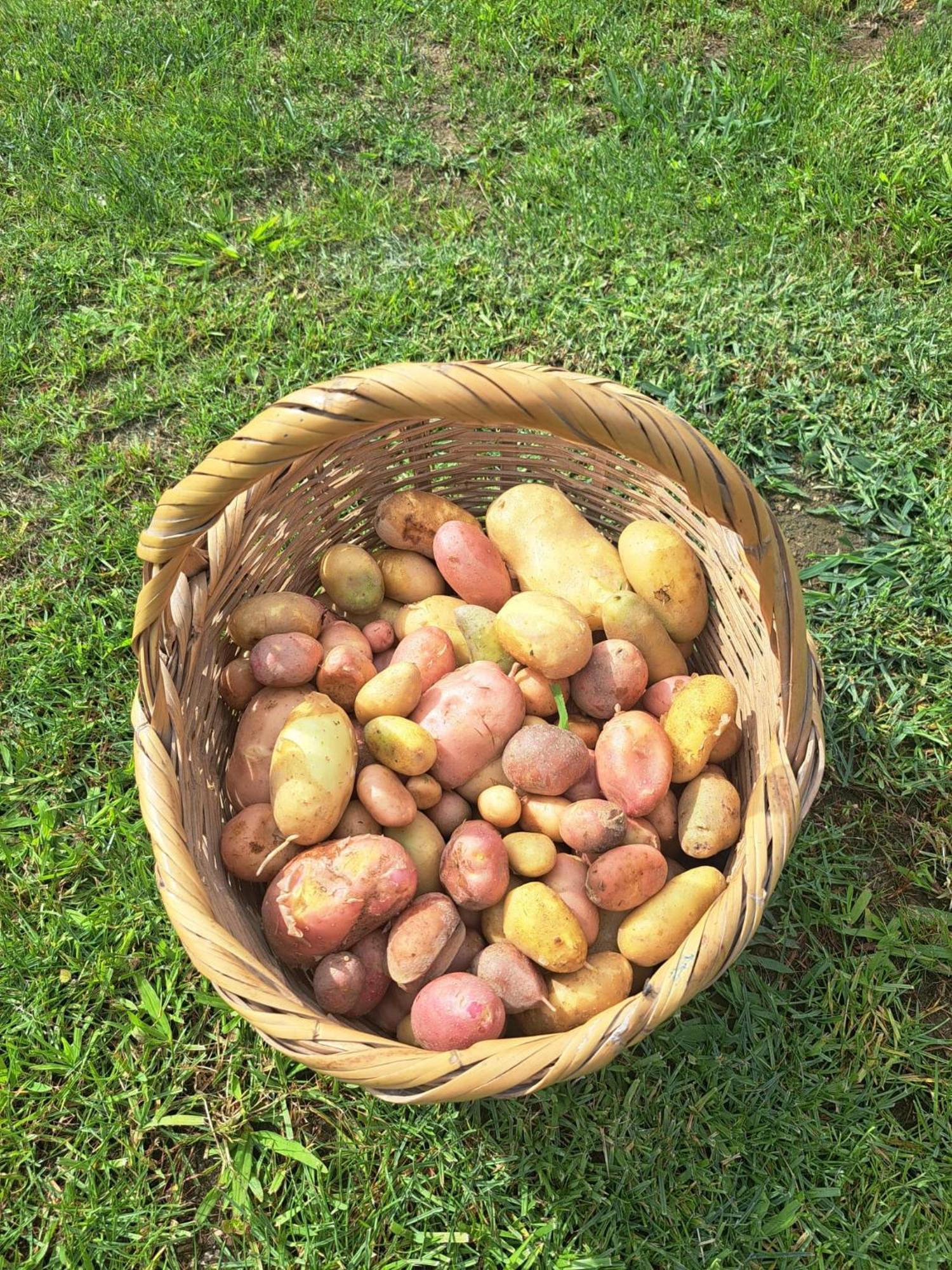 Quinta De Villasete Alpendurada Buitenkant foto