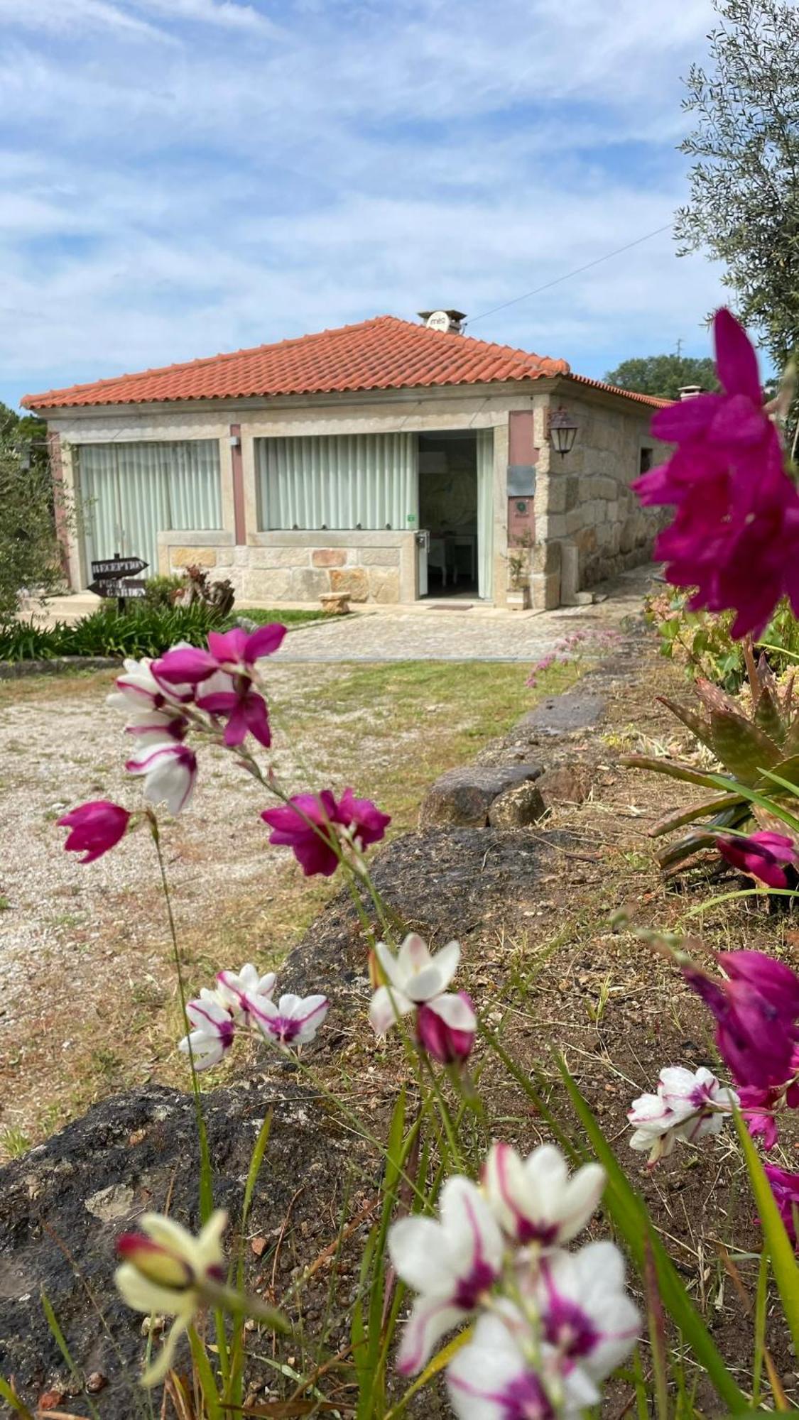 Quinta De Villasete Alpendurada Buitenkant foto