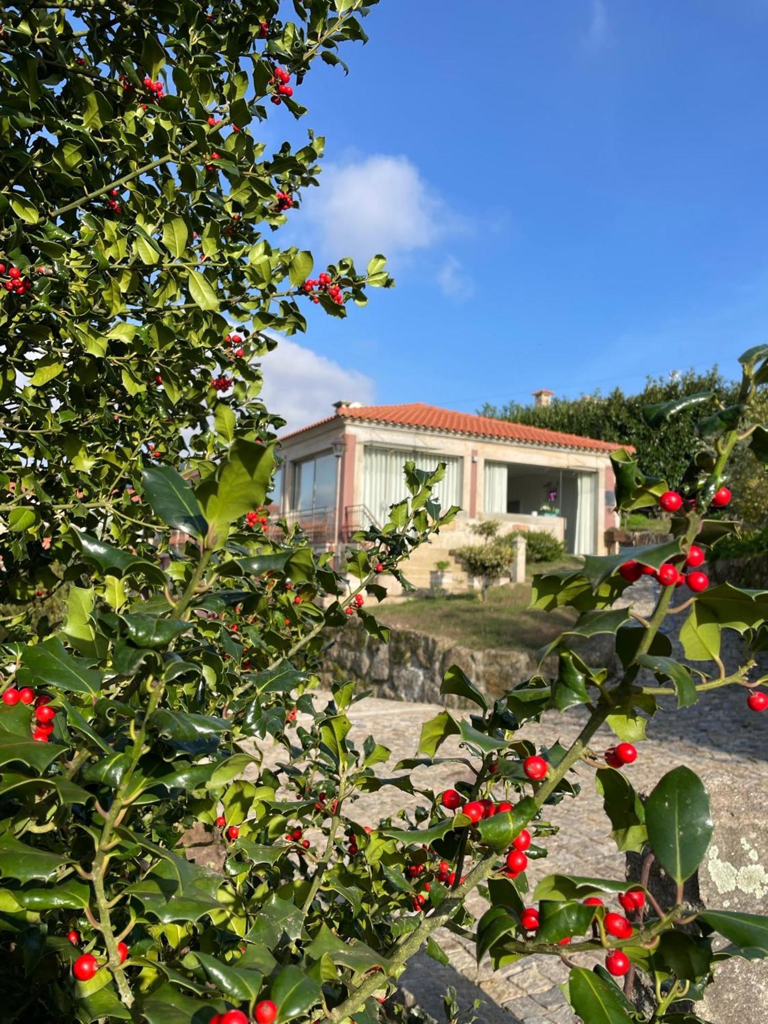 Quinta De Villasete Alpendurada Buitenkant foto