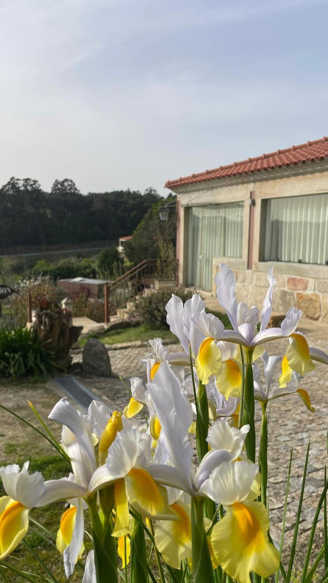 Quinta De Villasete Alpendurada Buitenkant foto