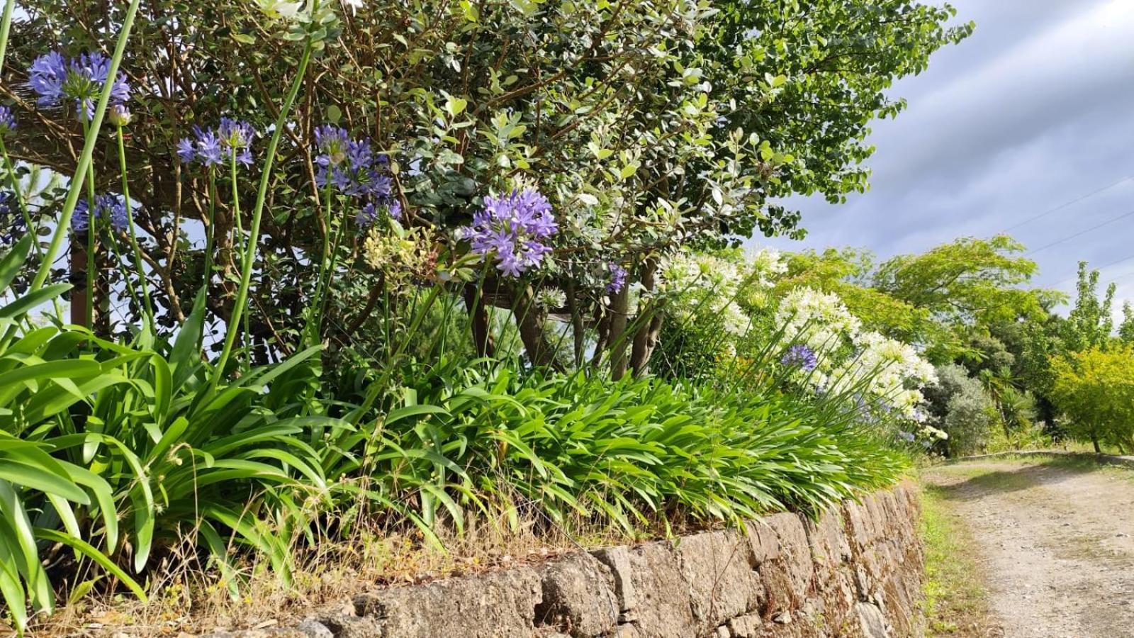 Quinta De Villasete Alpendurada Buitenkant foto